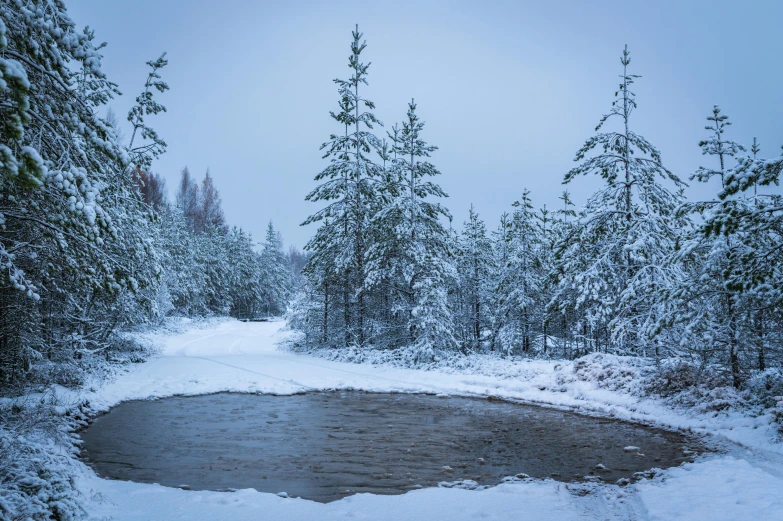 a stream running through a snow covered forest, inspired by Eero Järnefelt, pexels contest winner, small pond, grey, road, panorama