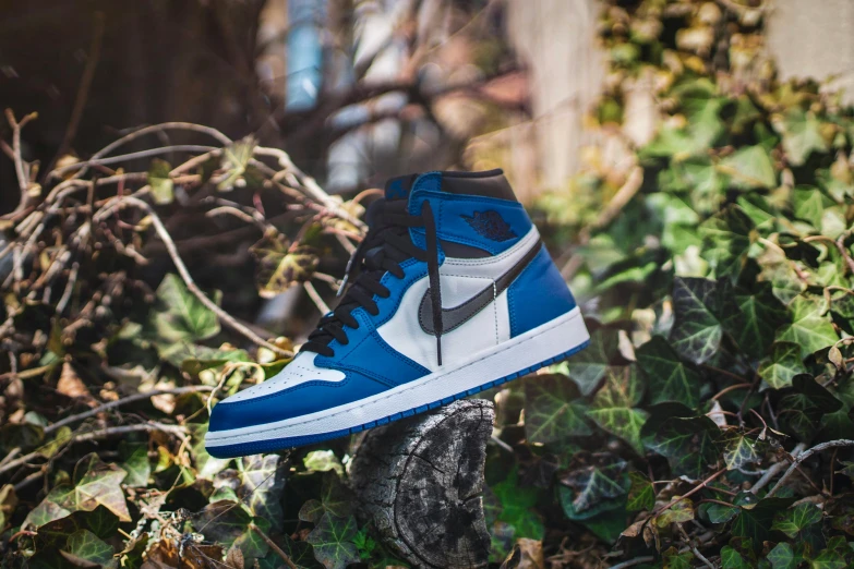 a pair of blue and white sneakers sitting on top of a tree stump, a portrait, unsplash, sots art, air jordan 1 high, avatar image, high detailed), gradient blue black