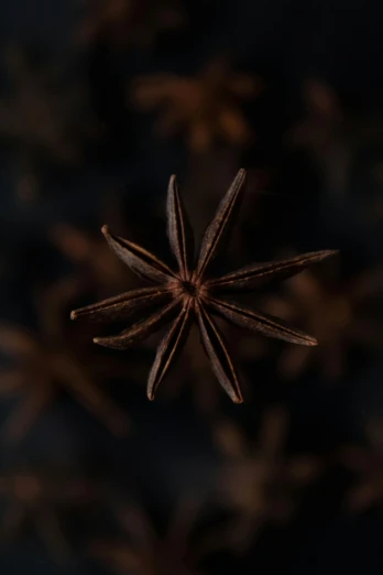 anise star anise star anise star anise star anise star anise star anise star anise star anise star an, a macro photograph, by Attila Meszlenyi, trending on unsplash, detailed cinematic render, brown:-2, dark, a high angle shot