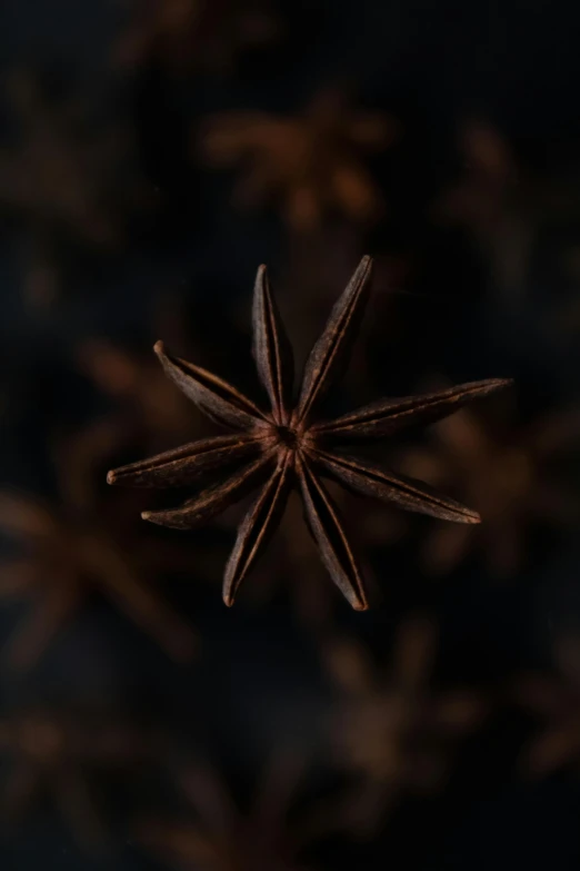 anise star anise star anise star anise star anise star anise star anise star anise star anise star an, a macro photograph, by Attila Meszlenyi, trending on unsplash, detailed cinematic render, brown:-2, dark, a high angle shot