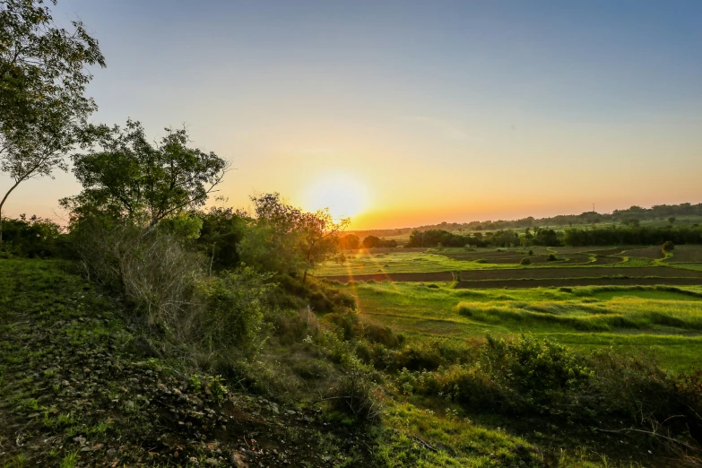 the sun is setting over a green field, pexels contest winner, indore, panorama distant view, dirt and luch landscape, brown