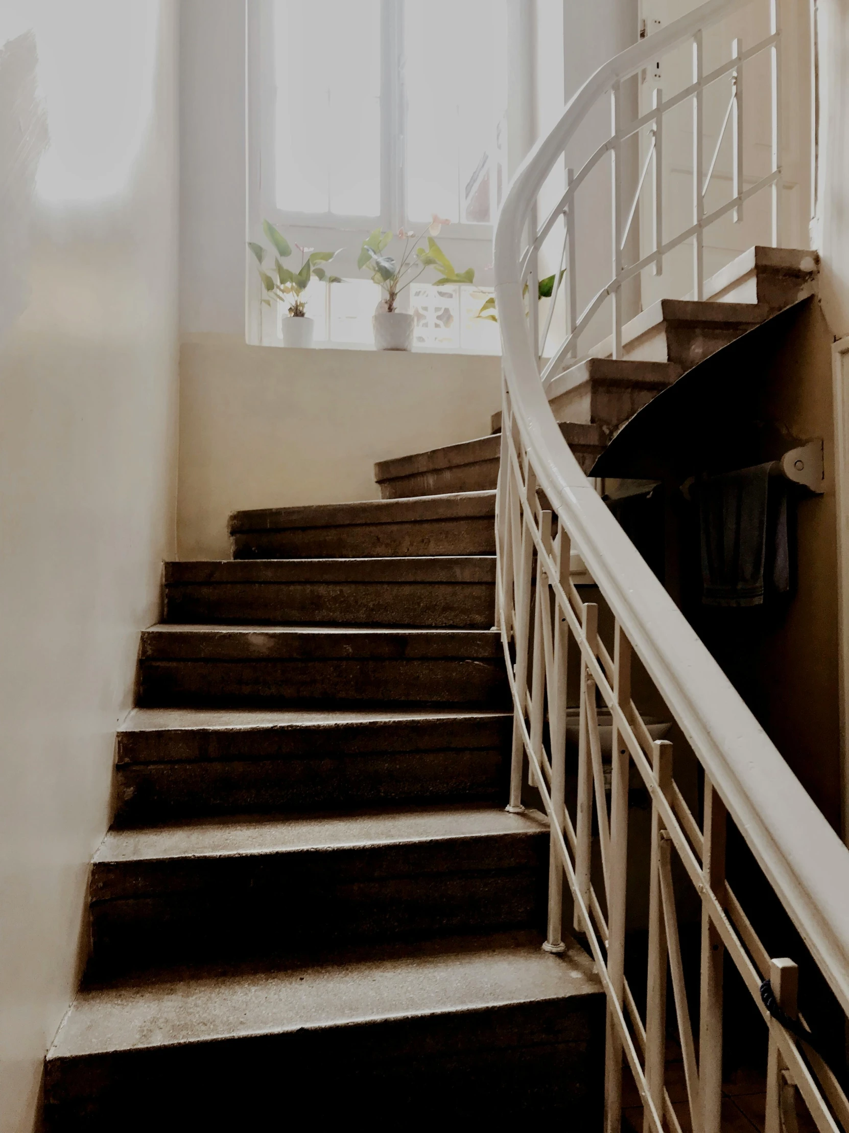 a man riding a skateboard down a flight of stairs, by Matija Jama, pexels contest winner, art nouveau, cream and white color scheme, picture of a loft in morning, stairs to an upper floor, gif
