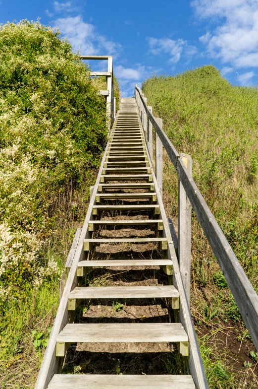 a set of wooden stairs going up a hill, by John Backderf, unsplash, coastal, slide show, a green, dune