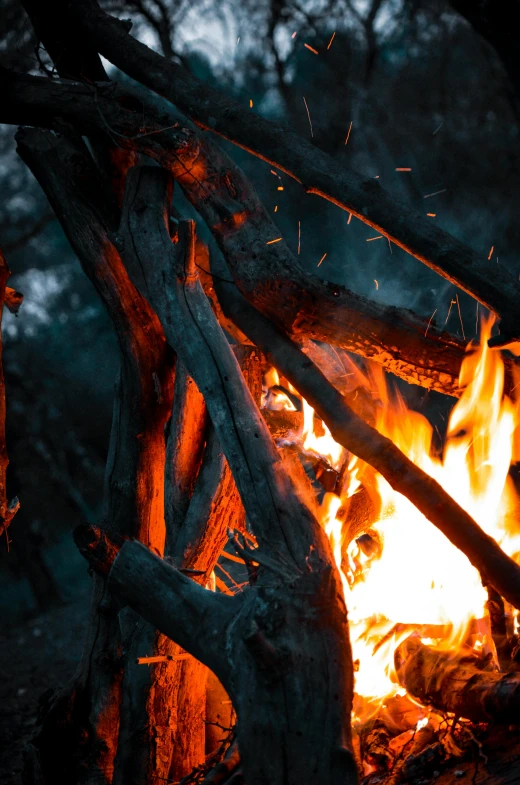 a close up of a fire in a forest, pexels contest winner, cozy setting, split near the left, vanilla, intense colours