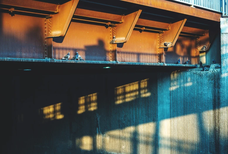 a group of birds sitting on top of a bridge, a picture, inspired by Elsa Bleda, unsplash contest winner, graffiti, great light and shadows”, simple brutalist architecture, instagram post, steel and metal