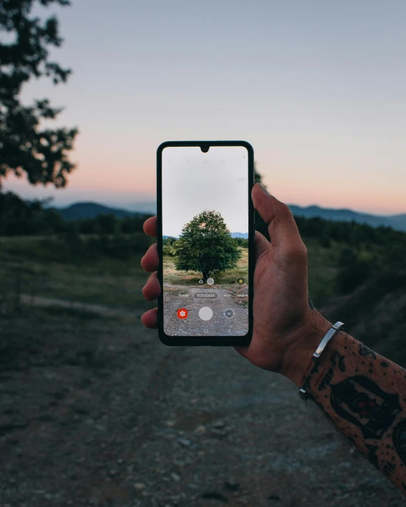 a person taking a picture with their cell phone, by Adam Marczyński, unsplash contest winner, pixel art, trees in background, at dusk, holding it out to the camera, tiktok video