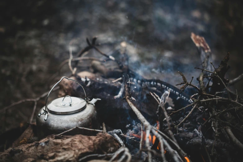 a kettle sitting on top of an open fire, pexels contest winner, environmental art, vanilla, grey, thumbnail, picnic