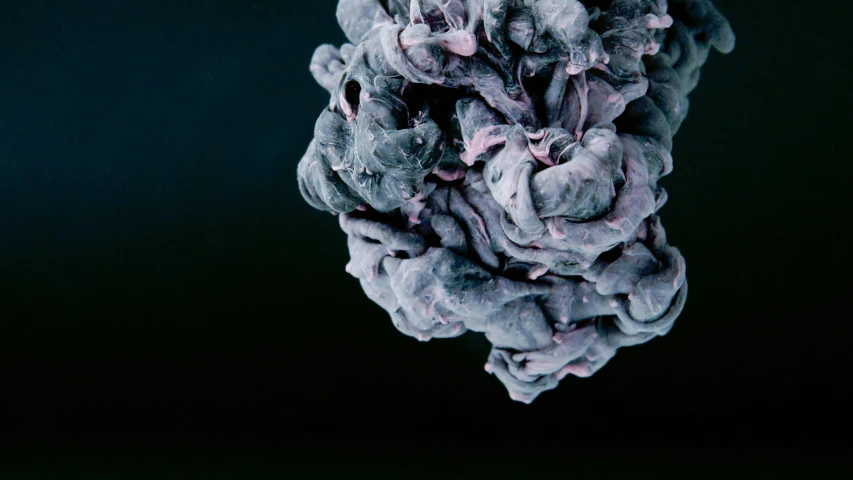 a close up of a purple substance on a black background, a microscopic photo, by Alison Geissler, unsplash, process art, nadav kander, tumors, big complex belly mechanism, 'untitled 9 '