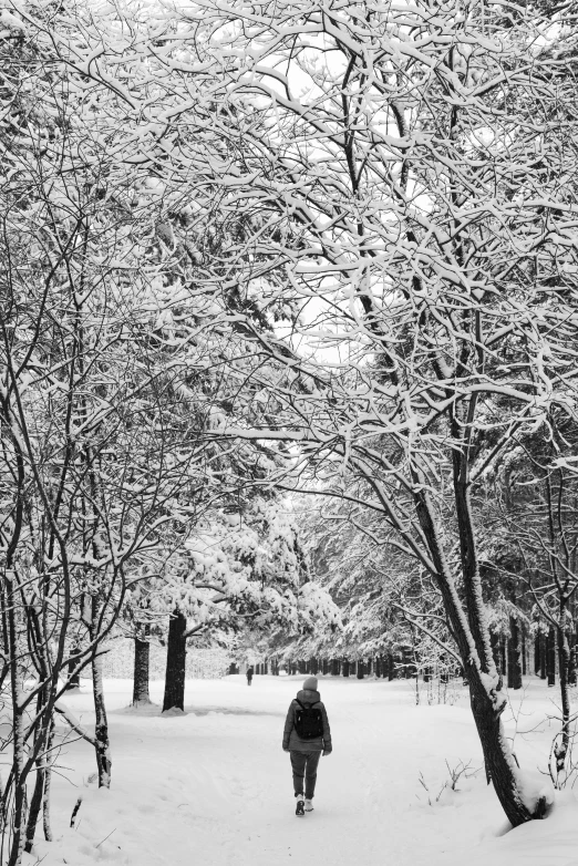 a black and white photo of a person walking in the snow, ((trees)), iu, in 2 0 1 5, may)