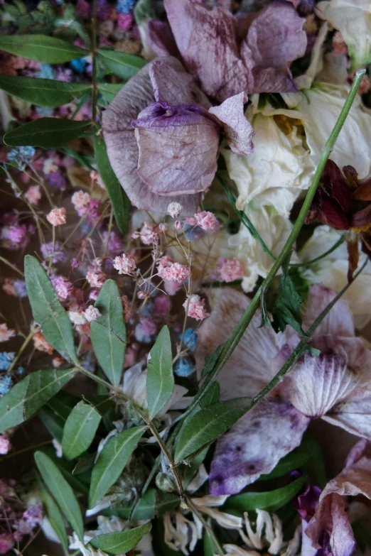 a bunch of flowers sitting on top of a table, gushy gills and blush, detail shot, purple foliage, mixed materials