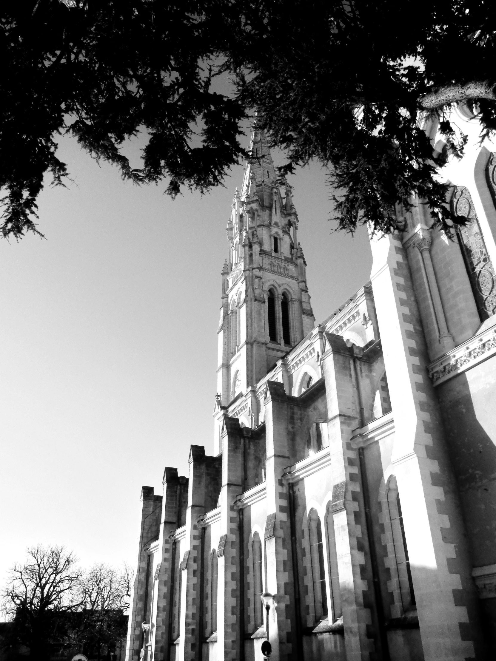 a black and white photo of a church, inspired by Samuel Prout, unsplash, gothic art, towering high up over your view, warwick saint, slightly overexposed, detailed medium format photo