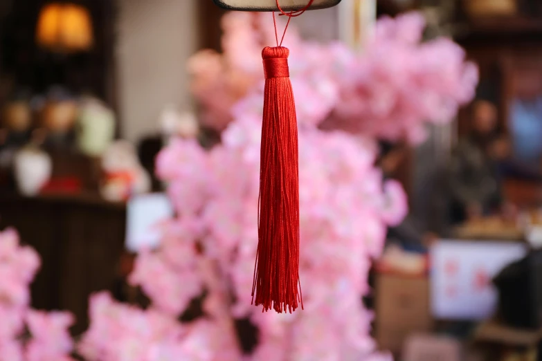 a mirror with a red tassel hanging from it, pexels, sōsaku hanga, lush sakura, detailed product shot, full colour, very long