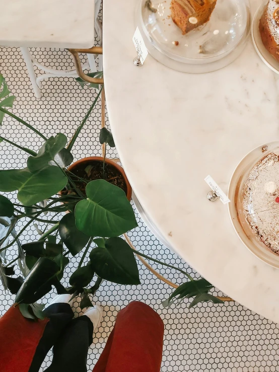 a table topped with cupcakes and pastries next to a potted plant, by Robbie Trevino, gif, top down photo, multiple stories, thumbnail