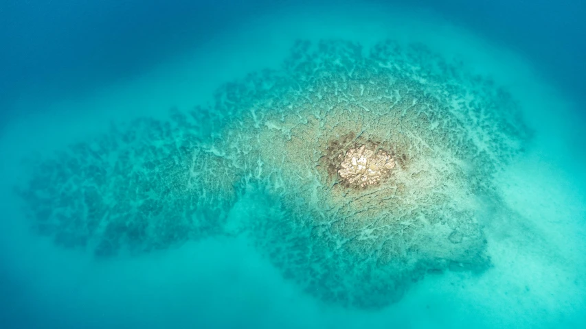 a small island in the middle of the ocean, a stipple, unsplash, hurufiyya, close-up from above, halogen, noelle stevenson, sunken