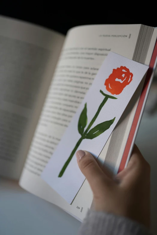 a person holding a book with a flower cut out of it, rose, medium-shot, stickers, r - mk