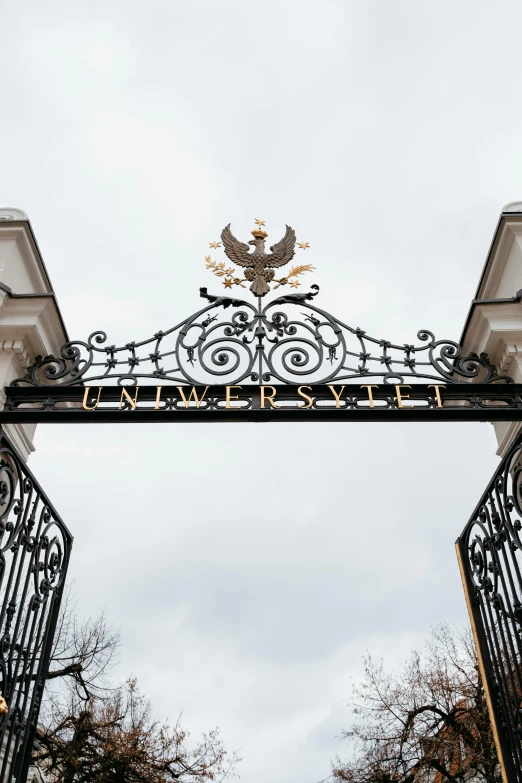 an iron gate with a bird on top of it, by Emma Andijewska, unsplash, art nouveau, military insignia, white and gold, university, ultra - wide view