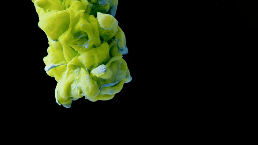 a yellow flower floating in water on a black background, a microscopic photo, inspired by Alberto Seveso, process art, with a yellow green smog sky, 2022 photograph, smeared acrylic paint, floating. greenish blue