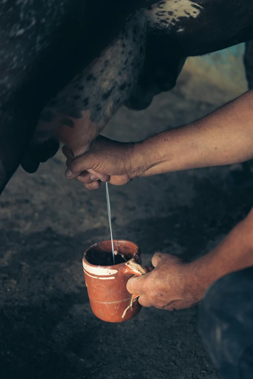 a man is milking a cow with a straw, by Elsa Bleda, unsplash, renaissance, indigo and red iron oxide, wood cups, medium format. soft light, cast