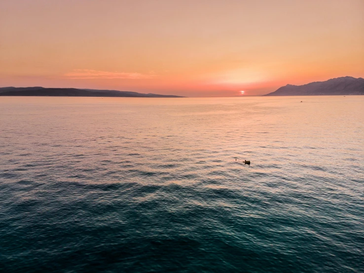 a couple of birds floating on top of a body of water, by Niko Henrichon, unsplash contest winner, minimalism, croatian coastline, sunset panorama, drone photograpghy, surf photography