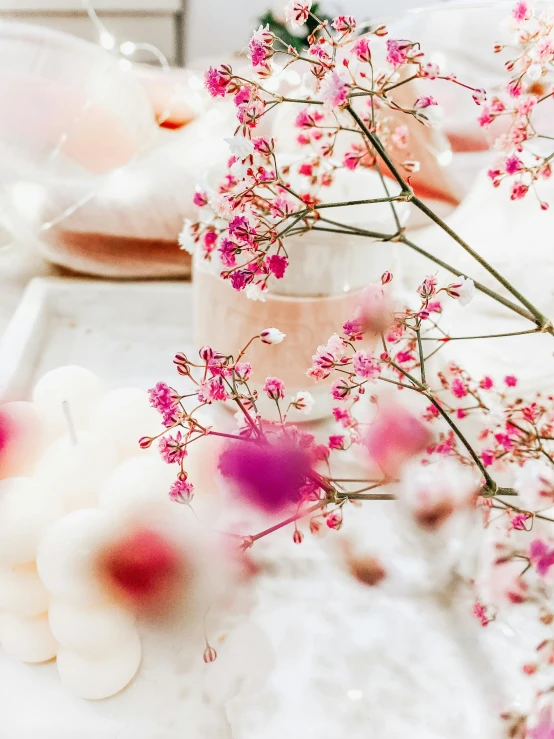 a vase filled with pink flowers sitting on top of a table, a picture, bubble bath, detail shot, dessert, feature