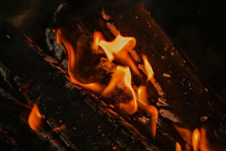 a close up of a fire in a fireplace, pexels contest winner, smouldering charred timber, avatar image, profile image, outdoor photo