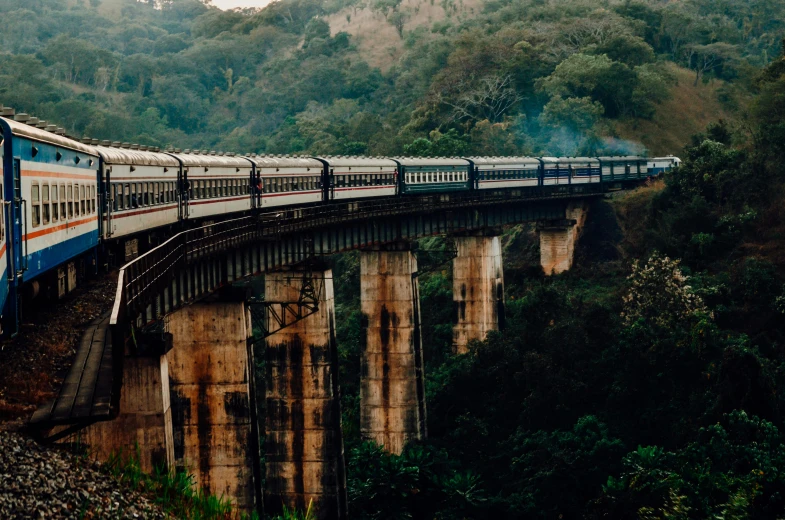 a blue and white train traveling over a bridge, by Lee Loughridge, pexels contest winner, sri lanka, indian forest, 🚿🗝📝