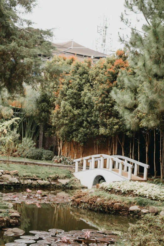 a white bridge over a small pond surrounded by trees, inspired by Tōshi Yoshida, unsplash, eucalyptus, brown, low quality photo, bamboo