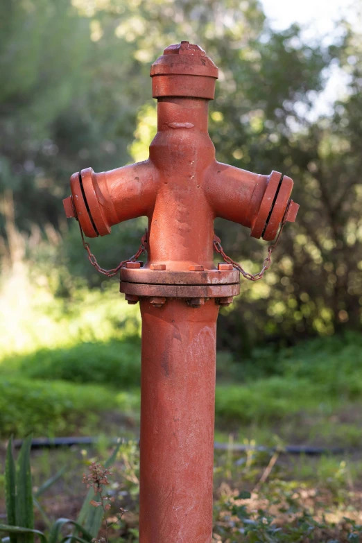 a red fire hydrant sitting in the middle of a field, broken pipes, up close image, 2019 trending photo, made of bronze
