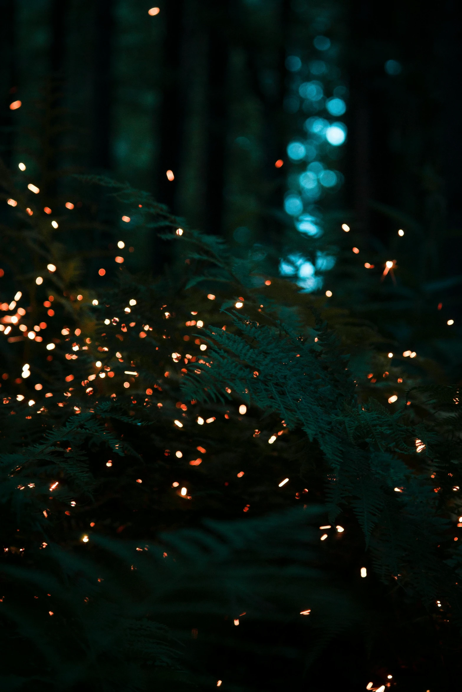 a fire hydrant sitting in the middle of a forest, inspired by Elsa Bleda, pexels contest winner, fairy lights, copper and deep teal mood, glitter gif, luminescent plants