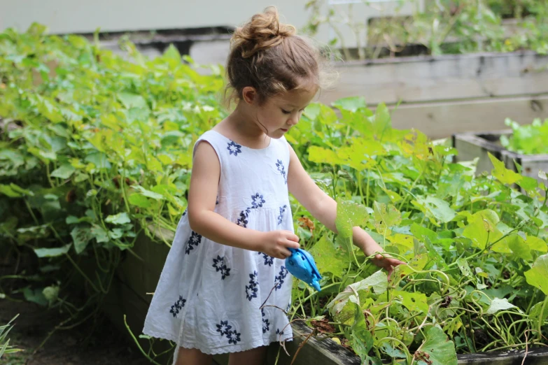 a little girl watering plants in a garden, by Pamela Drew, pixabay, wearing a blue berries, she is a gourd, low quality photo, sleeveless