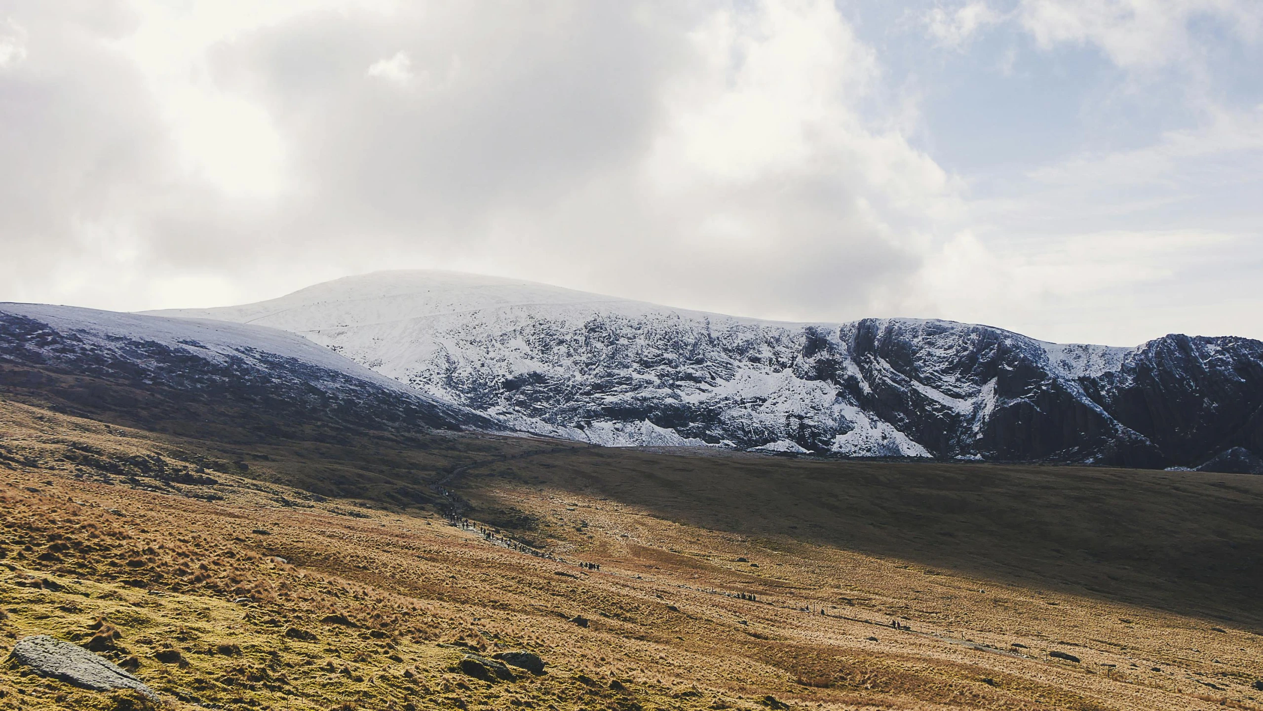 a herd of sheep standing on top of a grass covered hillside, by Bedwyr Williams, pexels contest winner, les nabis, with snow on its peak, panorama, subtle details, seen from outside