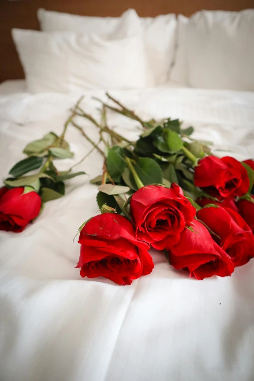 a bunch of red roses laying on a bed, white sheets, intimate, tall, commercially ready