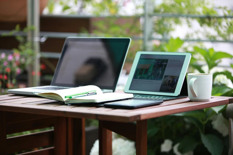 a laptop computer sitting on top of a wooden table, by Carey Morris, happening, multiple desks, gardening, ipad pro, thumbnail