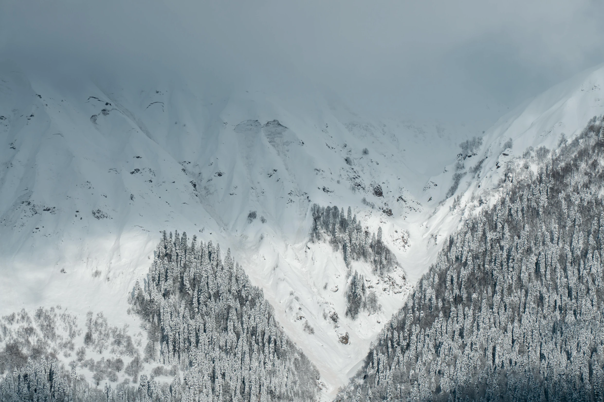 a group of people riding skis down a snow covered slope, a photo, by Cedric Peyravernay, pexels contest winner, lush forest in valley below, made in tones of white and grey, distant mountains lights photo, computer wallpaper