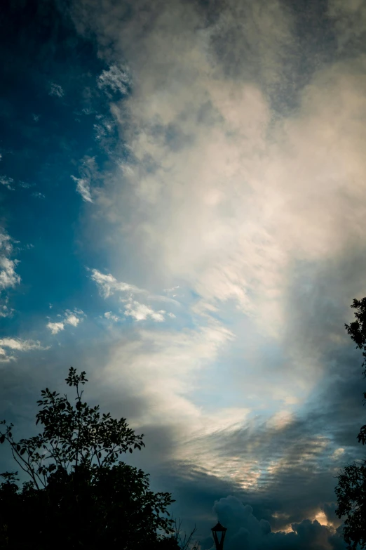 a couple of giraffe standing on top of a lush green field, a picture, unsplash, romanticism, layered stratocumulus clouds, today\'s featured photograph 4k, seen from below, late summer evening