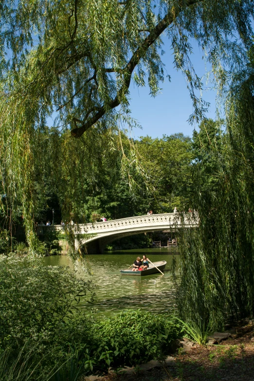 a bridge over a body of water surrounded by trees, central park, small boat in foreground, willow plant, slide show