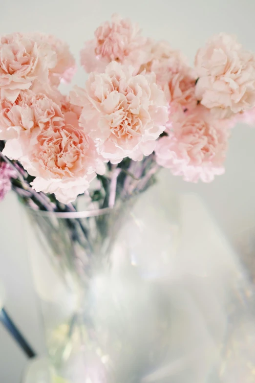 a vase filled with pink carnations sitting on a table, inspired by Cecil Beaton, unsplash, romanticism, detail shot, shiny crisp finish, light pink mist, large tall