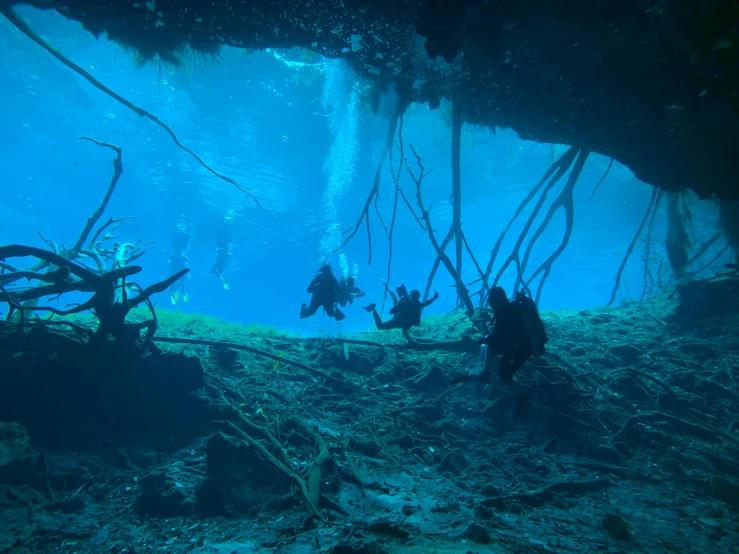 a group of people that are standing in the water, deep underwater, vines along the jungle floor, sinkholes, nasa