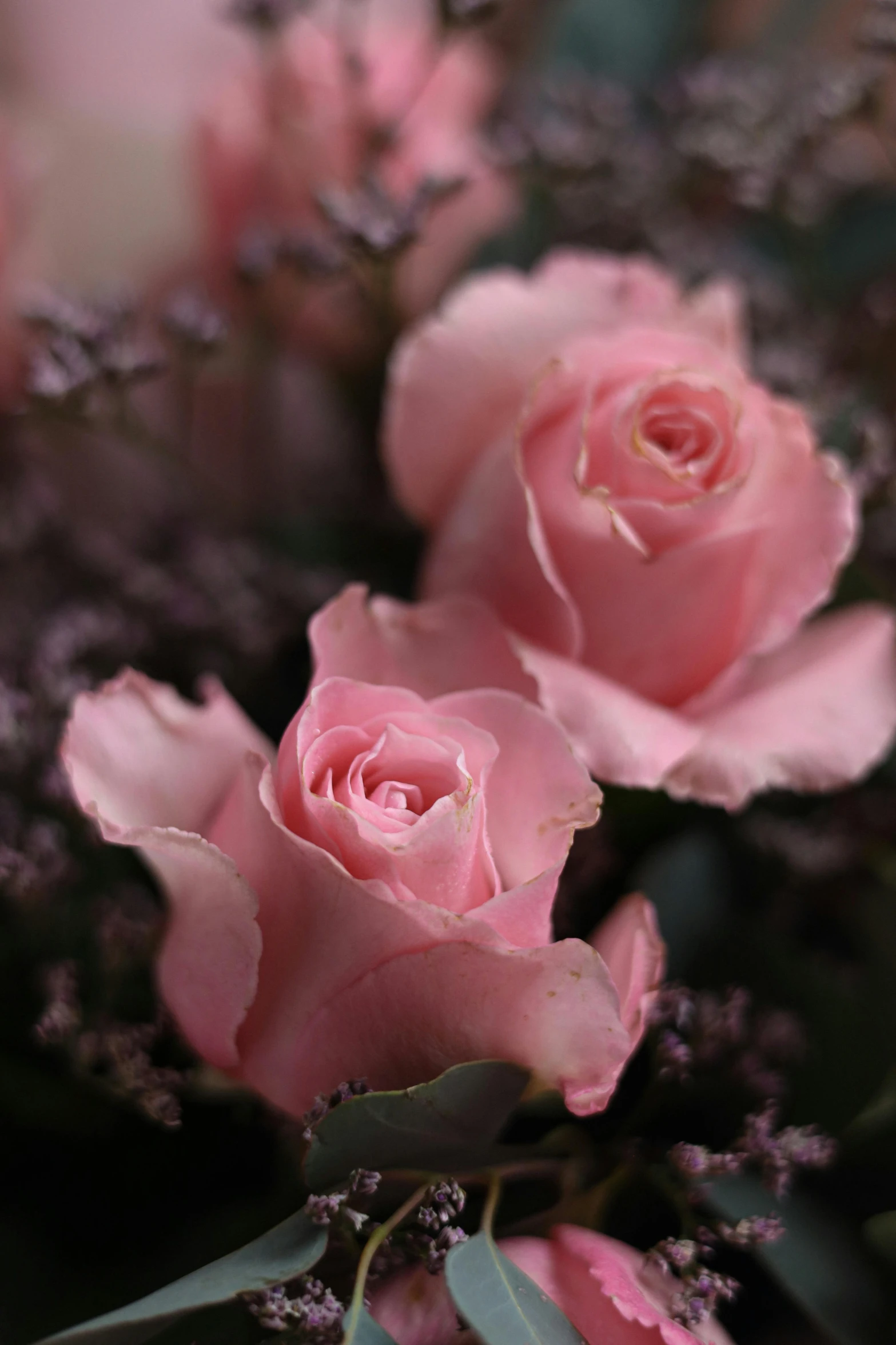 a bouquet of pink roses sitting on top of a table, up-close, pink and grey muted colors, no cropping, award-winning crisp details”