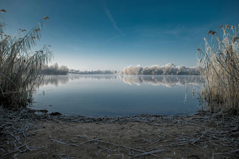 a body of water surrounded by tall grass, by Eglon van der Neer, pexels contest winner, icy lake setting, panorama, white and pale blue, lake in the forest