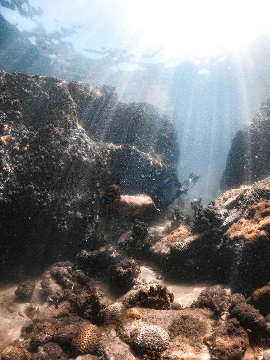 an underwater view of some rocks and water, by Daniel Seghers, unsplash contest winner, happening, some sunlight ray, a diver is under the sea, quixel megascans, taken in the early 2020s