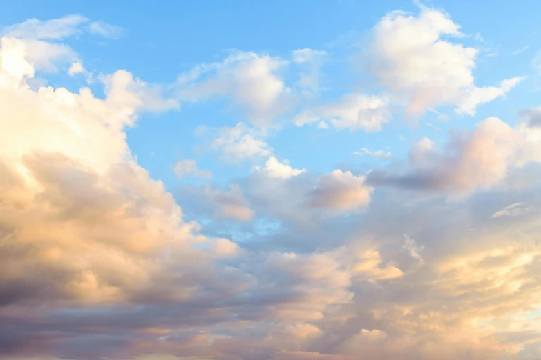 a herd of cattle standing on top of a lush green field, an album cover, unsplash, romanticism, pink clouds in the sky, golden hour closeup photo, cotton candy clouds, sky made of ceiling panels