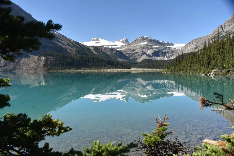 a large body of water surrounded by trees, by Brigette Barrager, pexels contest winner, hurufiyya, glaciers, lake blue, mirrored, slide show