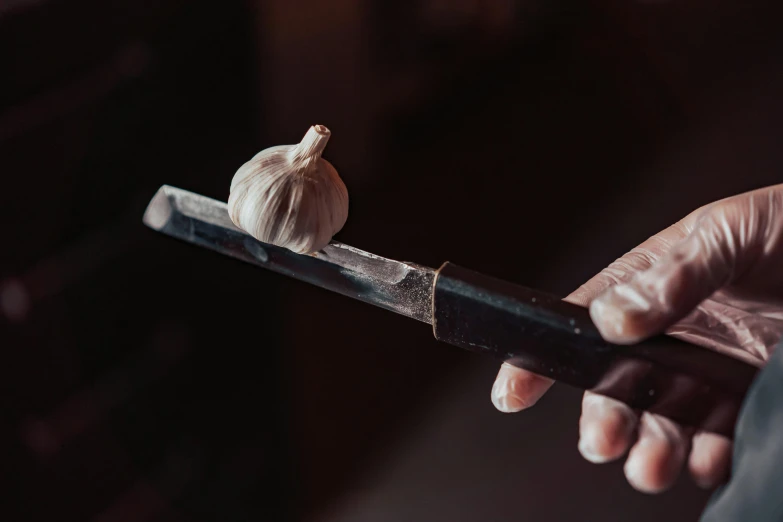 a person holding a knife with a clove of garlic on it, inspired by Caravaggio, trending on pexels, blacksmith product design, resin, hammershøi, animation