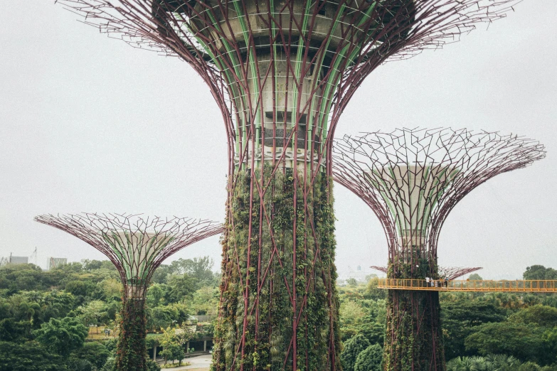 a bunch of trees that are next to each other, by Adam Rex, pexels contest winner, environmental art, futuristic structures, singapore, 🦩🪐🐞👩🏻🦳, top selection on unsplash