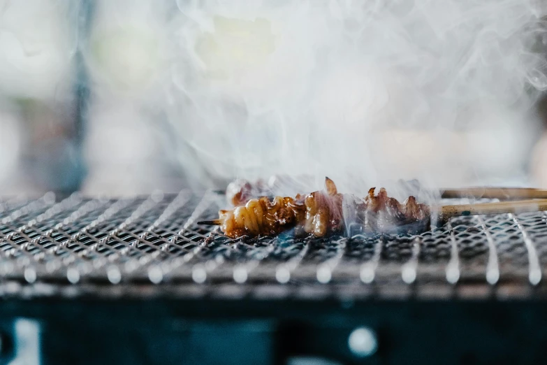 a close up of food cooking on a grill, wisps of smoke, drooling ferrofluid, cuttlefish, background image