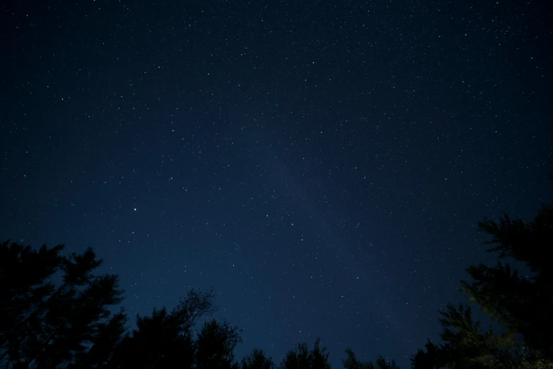 the night sky with stars and trees in the foreground, pexels, light and space, glowing tiny blue lines, night cam footage, giant star, pitch black sky