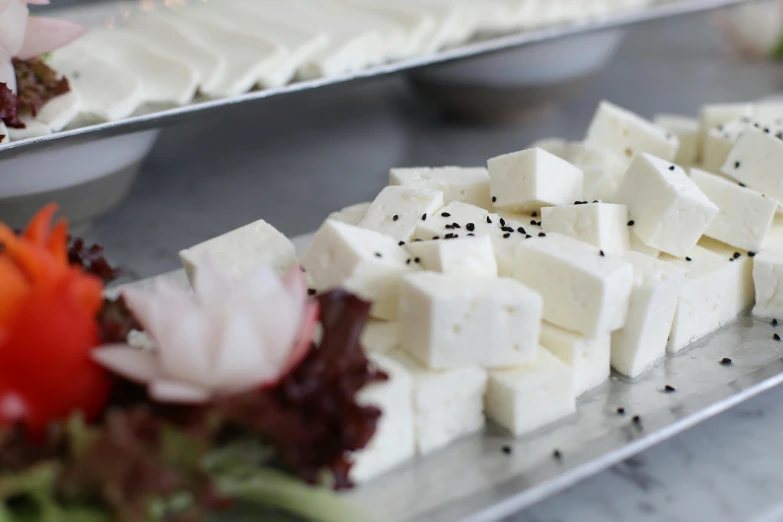 a close up of a plate of food on a table, milk cubes, various sizes, eating a cheese platter, luscious with sesame seeds