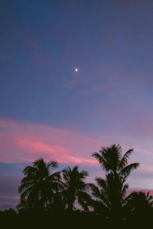 a sunset with palm trees and the moon in the sky, unsplash, aestheticism, soft lilac skies, south beach colors, multiple stories, # nofilter