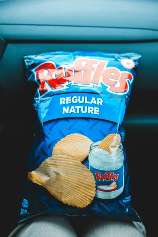 a person sitting in a car with a bag of chips, inspired by Reinier Nooms, reddit contest winner, reptiles, maximum natural texture, summer feeling, rippling liquid